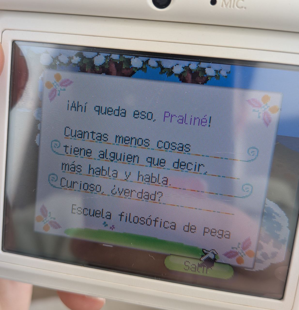 Animal Crossing philosophy on Nintendo DS